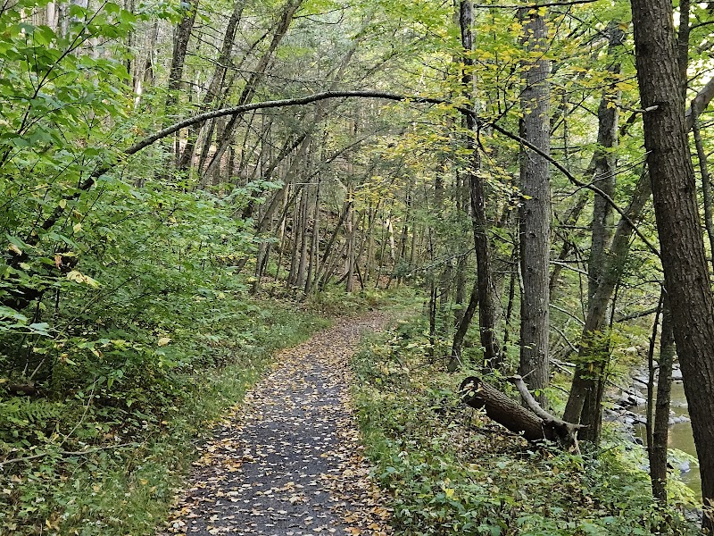 Journey Through Hidden Valley Preserve outdoor detail