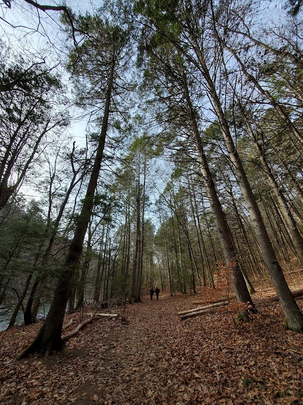 Journey Through Hidden Valley Preserve - Hidden Valley Preserve