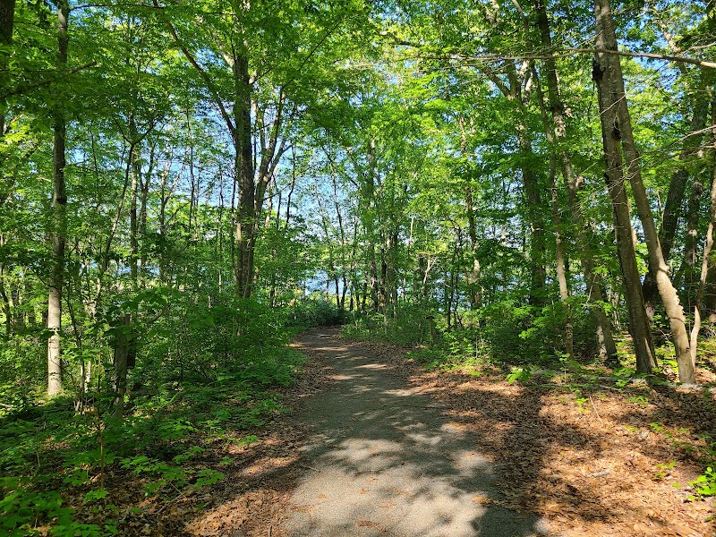 Tranquility in Nature: Peace Sanctuary surrounding landscape