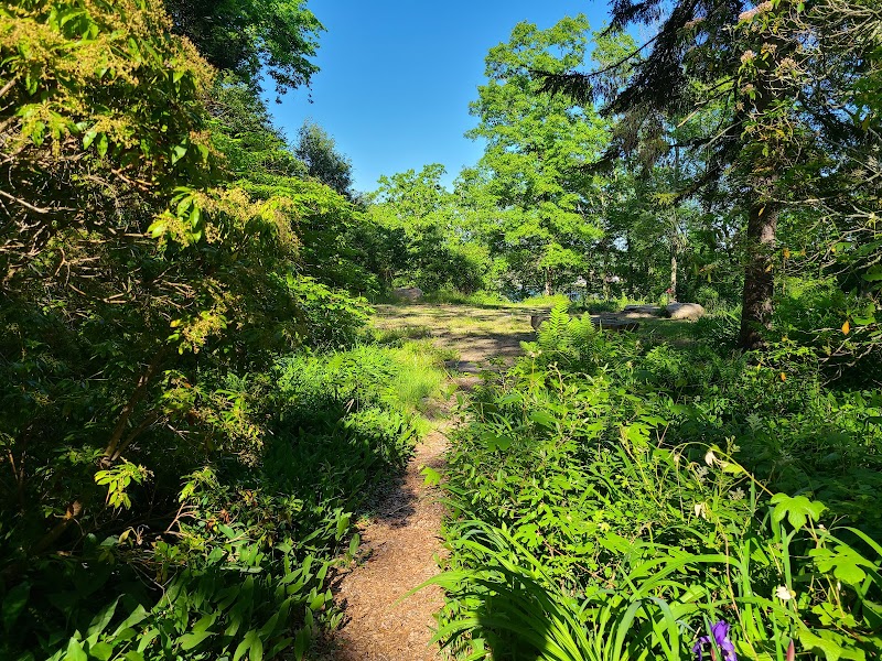 Tranquility in Nature: Peace Sanctuary outdoor detail