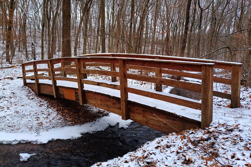 Serene Streams at Dividend Pond surrounding landscape