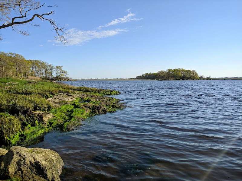 Waterside Serenity: Elizabeth B. Karter Watch Rock Preserve - Elizabeth B. Karter Watch Rock Preserve