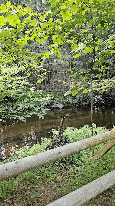 Tranquil Adventures at Mianus River surrounding landscape