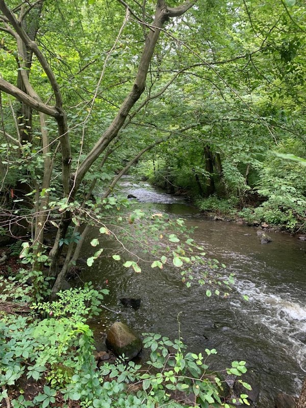Tranquil Adventures at Mianus River outdoor detail
