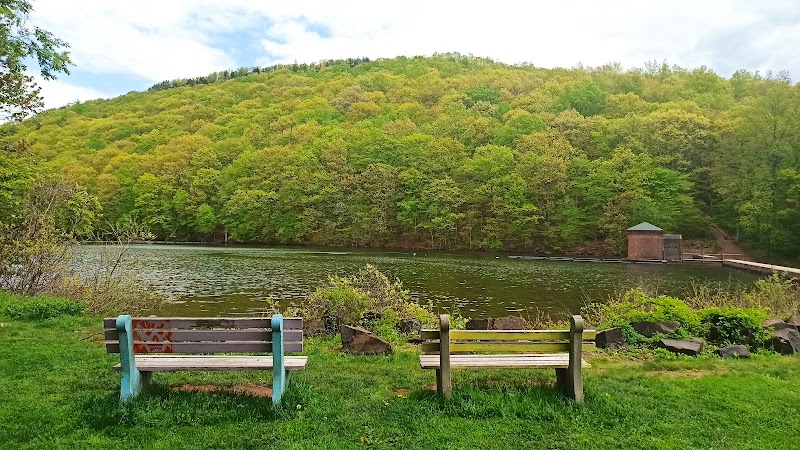 Serene Escapes at Doctor Francis Giuffrida Park - Doctor Francis Giuffrida Park
