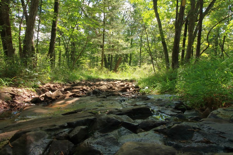 Serene Escapes at Doctor Francis Giuffrida Park surrounding landscape