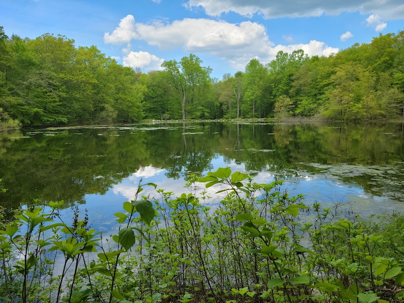 Artistic Escapes at Weir Farm National Historical Park - Weir Farm National Historical Park