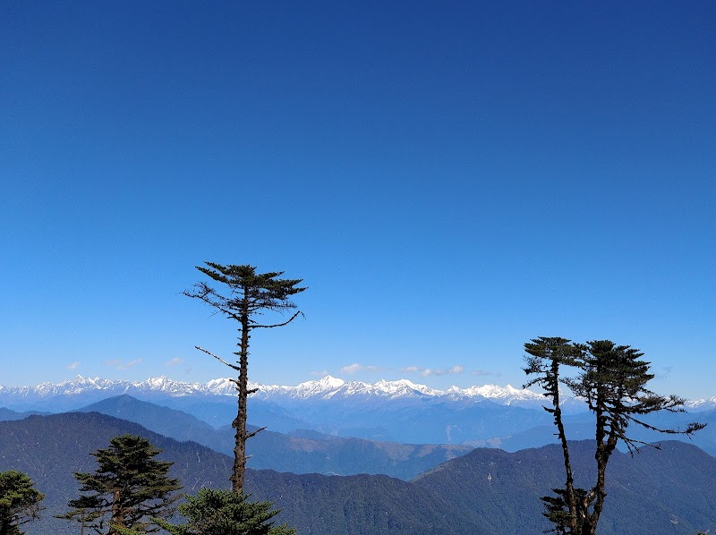 Majestic Thrumshing La: Gateway to Bhutan's Splendor - Thrumshing La