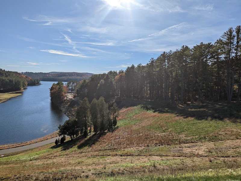 Nature's Beauty at Saville Dam - Saville Dam