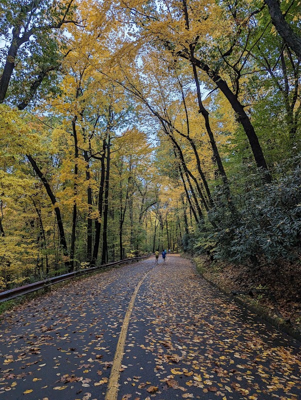 Discover the Heights at East Rock Park - East Rock Park