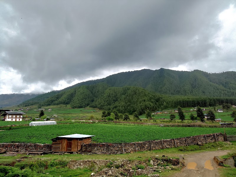 Spectacular Valley Views: Phobjikha Valley, Bhutan - Phobjikha Valley