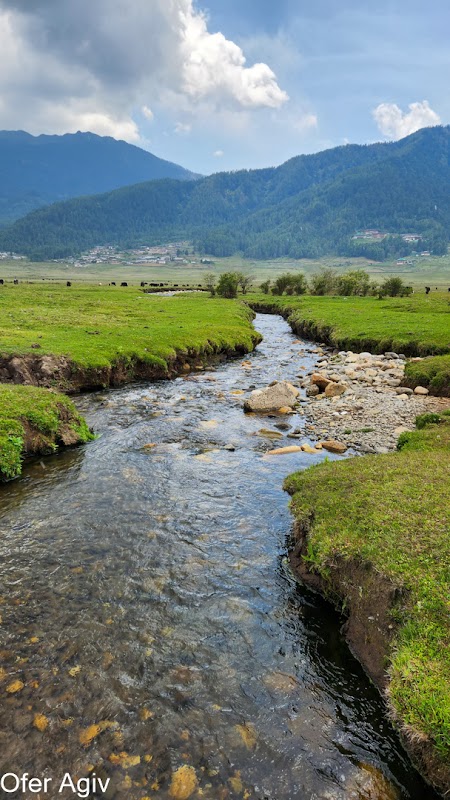 Spectacular Valley Views: Phobjikha Valley, Bhutan - Phobjikha Valley
