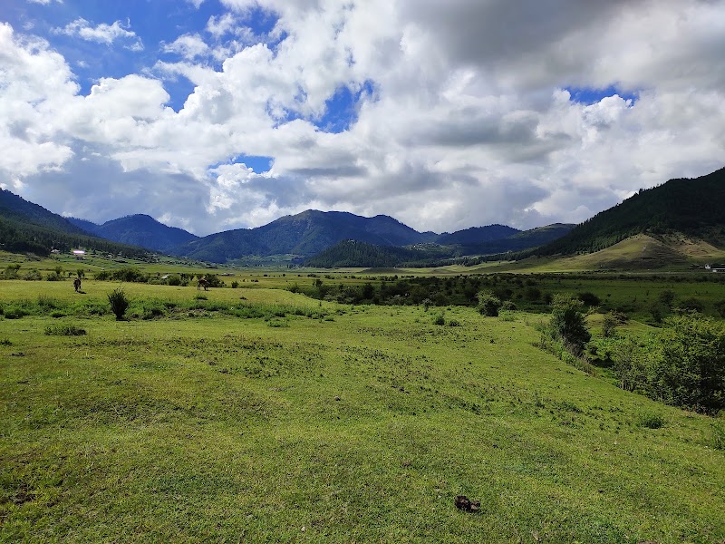 Spectacular Valley Views: Phobjikha Valley, Bhutan - Phobjikha Valley