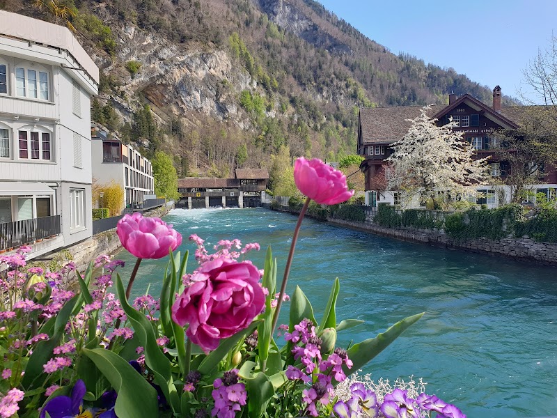 Aqua Adventures in Interlaken - Interlaken