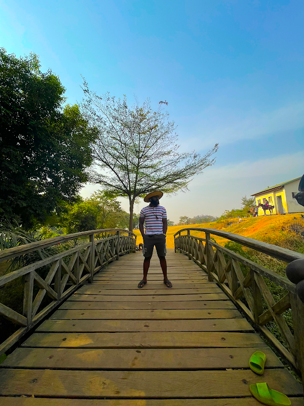 Serenity by the Shores of Jabi Lake - Jabi Lake