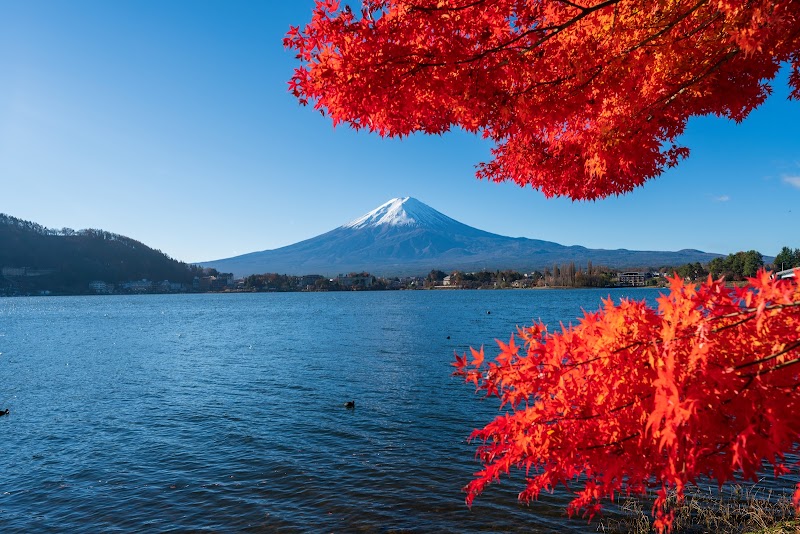 Lakeside Serenity: Lake Kawaguchi - Lake Kawaguchi