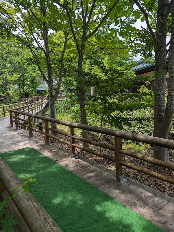 Gateway to Shirakami Sanchi's Wilderness - Shirakami Sanchi Visitor Center