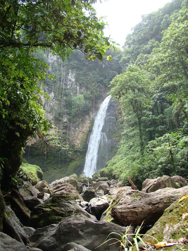 Victoria Falls: Nature's Marvel in Dominica - Victoria Falls