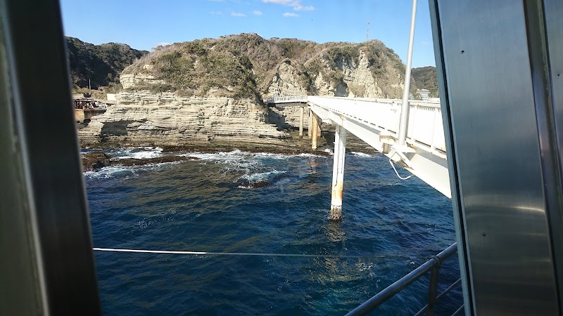 Diving Wonders of Katsuura Marine Park - Katsuura Marine Park