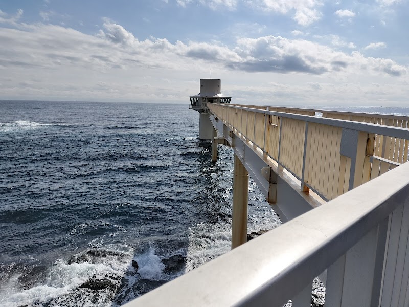 Diving Wonders of Katsuura Marine Park - Katsuura Marine Park