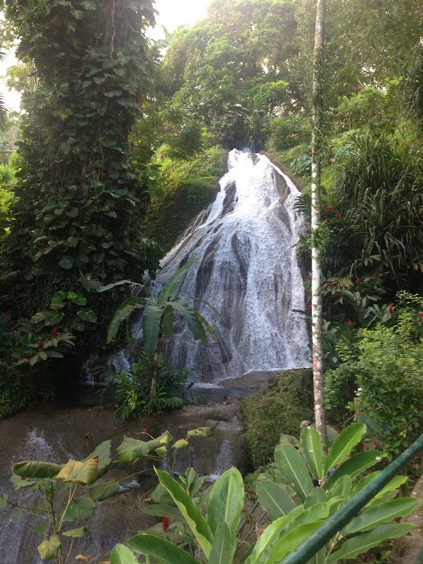 Waterfall Wonders: Dunn's River Falls - Dunn's River falls