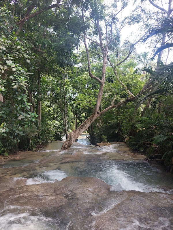 Waterfall Wonders: Dunn's River Falls - Dunn's River falls