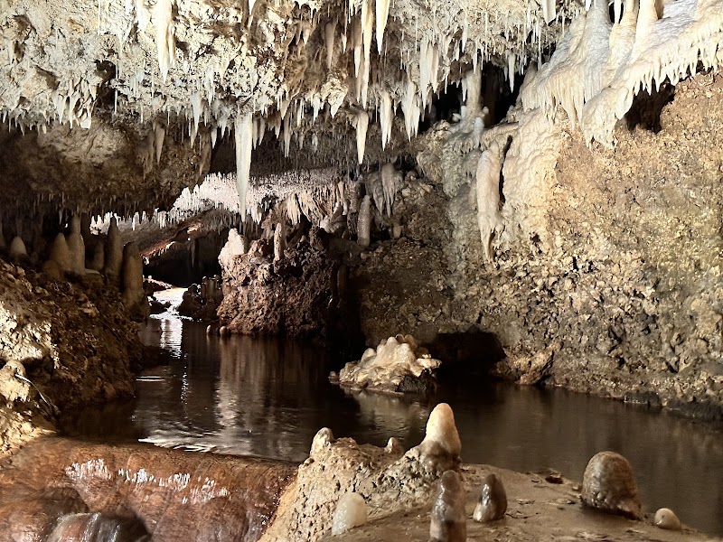 Underground Marvel: Harrison's Cave in Barbados - Harrison's Cave Eco-Adventure Park