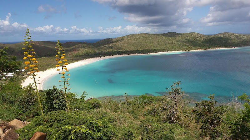 Sun-Kissed Shores: Flamenco Beach Adventure - Flamenco Beach