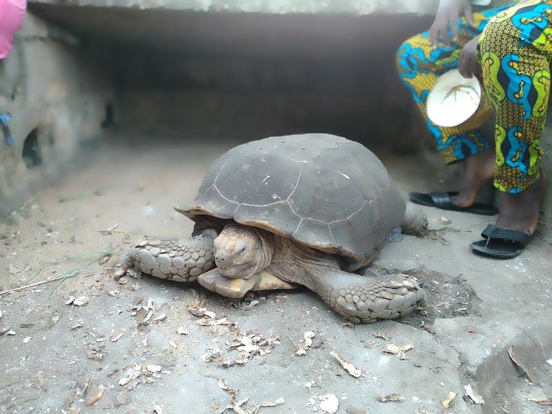 Old Oyo National Park adventures