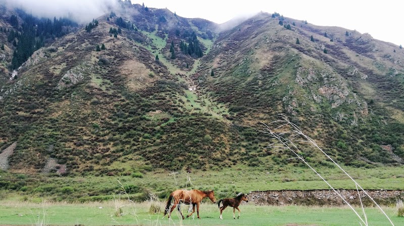Majestic Peaks of Chong-Kemin - Chong-Kemin National Park