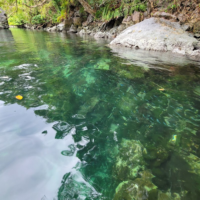 Tranquil Waters of Big Lagoon - Big Lagoon