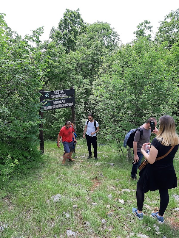 Samogradska Špilja: Croatia's Hidden Underground Marvel - Samogradska špilja