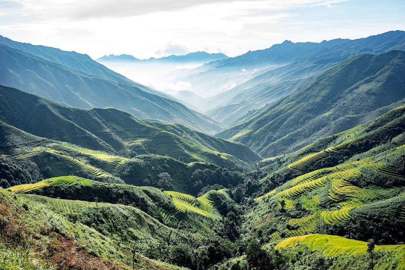 Majestic Terraces of Ta Xua - Ta Xua Nature Reserve