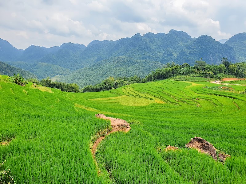 Lush Retreat: Pu Luong Nature Reserve - Pu Luong Nature Reserve