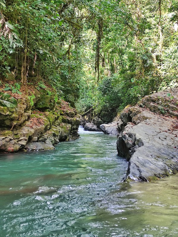 Cueva del Diablo: Mystical Waters and Enchanted Forests - Cueva del Diablo, Calderas, Barinas