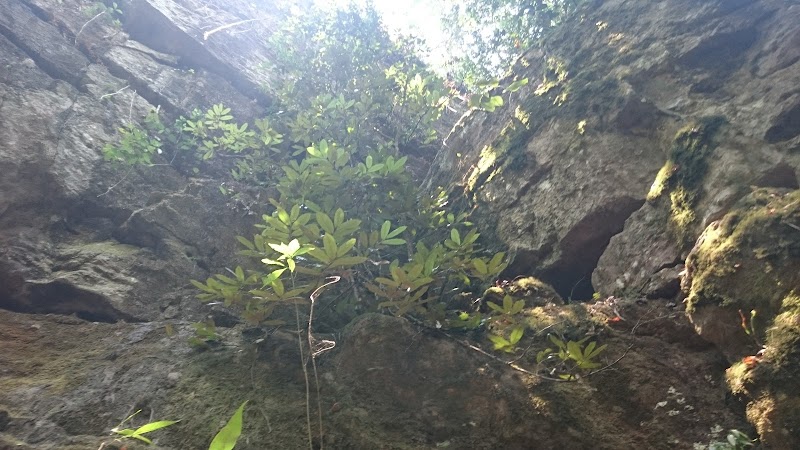 Cueva del Diablo: Mystical Waters and Enchanted Forests - Cueva del Diablo, Calderas, Barinas