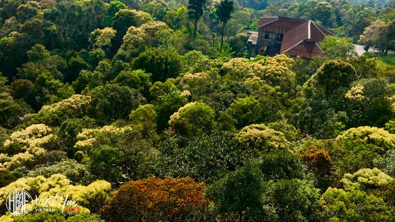 Nature's Haven: Bạch Mã National Park - Bạch Mã National Park
