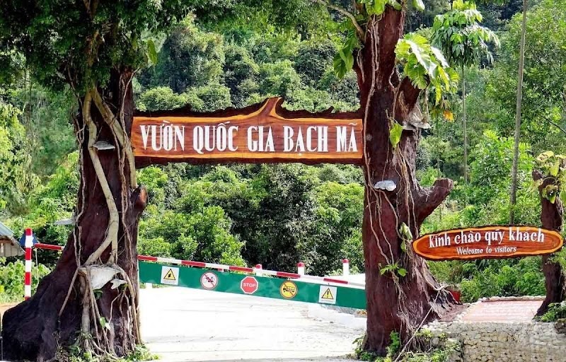 Nature's Haven: Bạch Mã National Park - Bạch Mã National Park