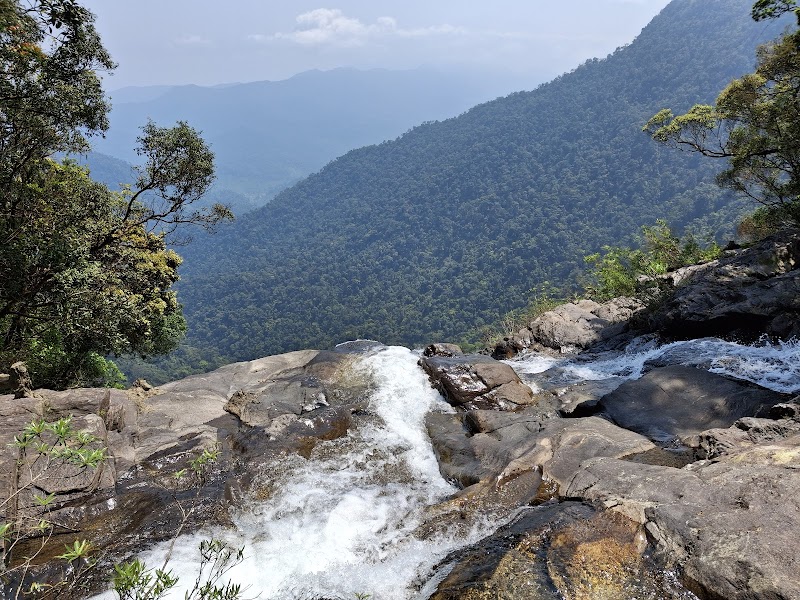 Nature's Haven: Bạch Mã National Park - Bạch Mã National Park
