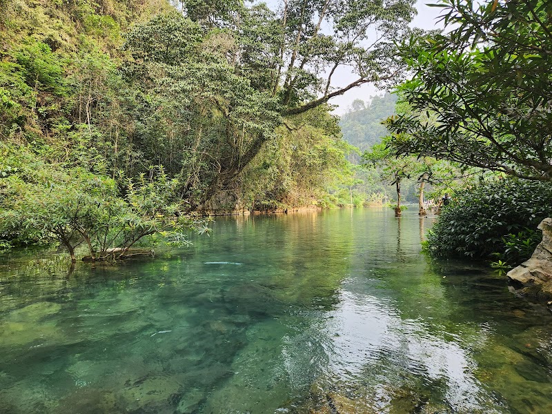 Natural Wonders of Khu du lịch Pác Bó - Khu du lịch Pác Bó