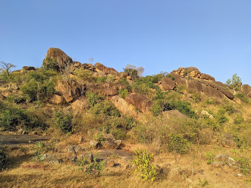 Majestic Rock Formations of Shere Hills - Shere Hills