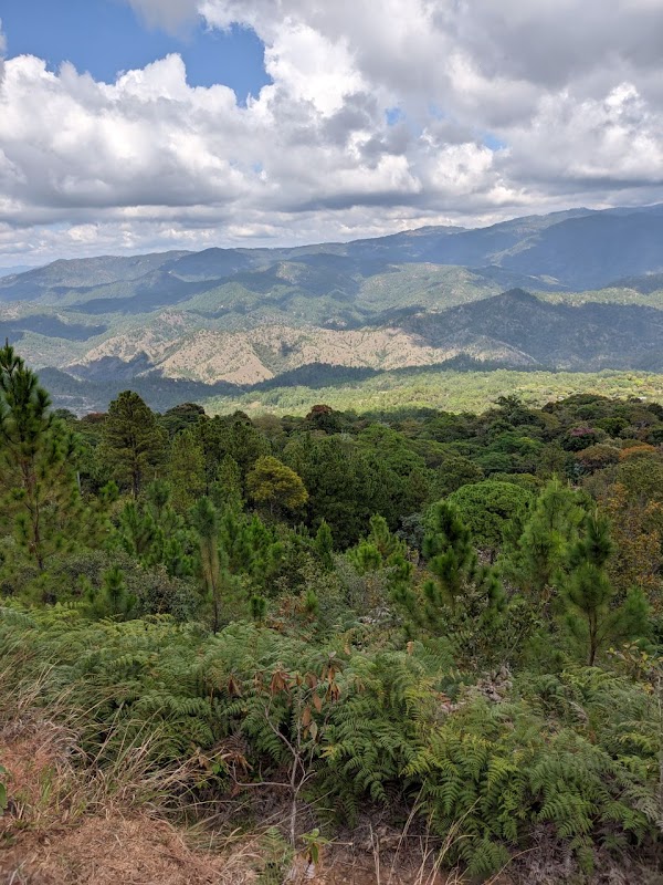 Captivating Landscapes of MiPerquin - MiPerquin