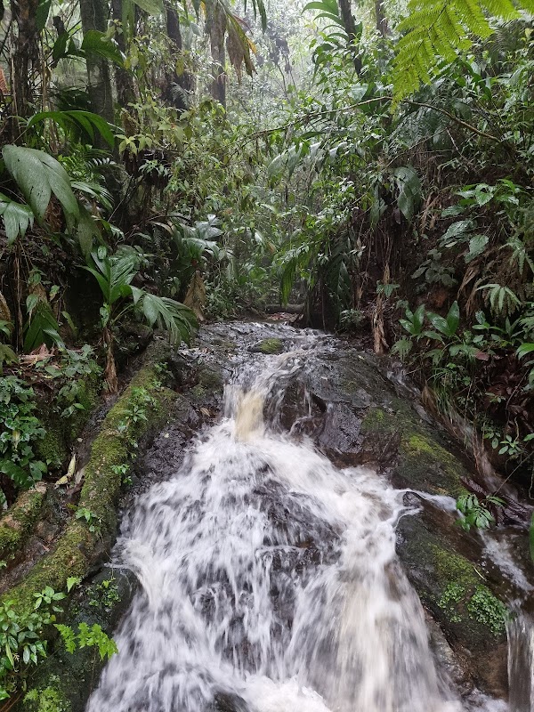 Wildlife Haven in Central Highlands: Biotopo del Quetzal - Biotopo del Quetzal
