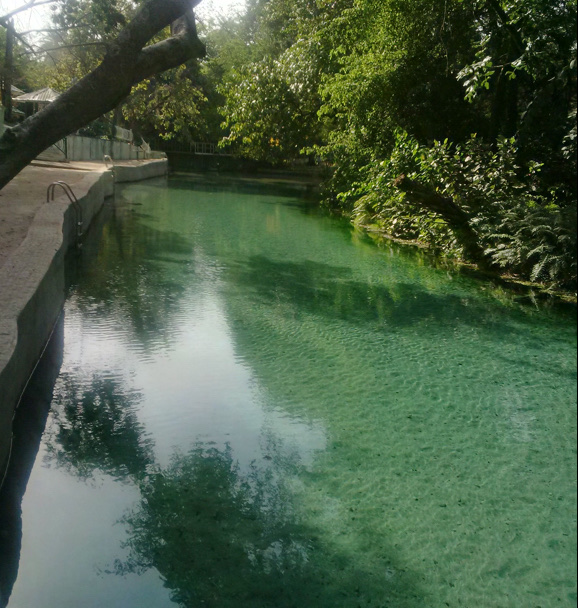 Wonders of Wikki Warm Springs - Wikki warm springs