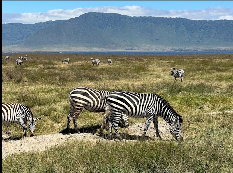 Ngorongoro's Spectacular Crater View - Ngorongoro Conservation Area