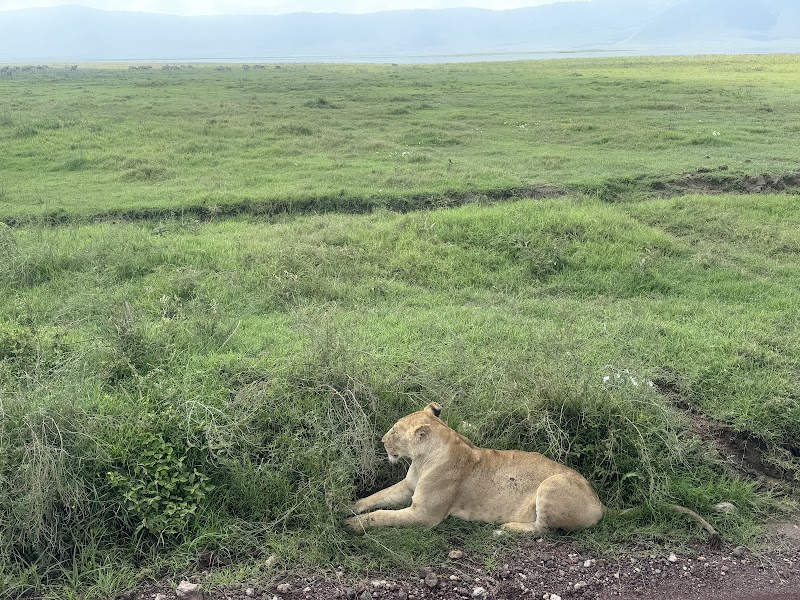 Ngorongoro's Spectacular Crater View - Ngorongoro Conservation Area