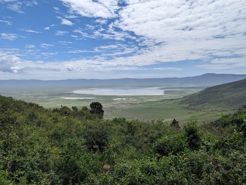Wildlife Spectacle at Ngorongoro Crater - Ngorongoro Crater