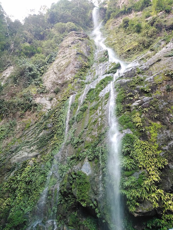 Riverside Adventure at Cangrejal River - Cangrejal River