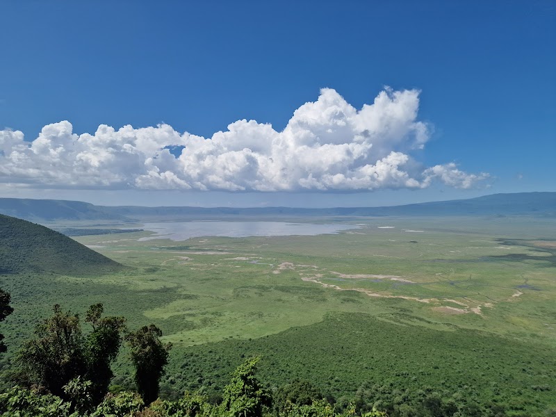 Ngorongoro Crater ViewPoint: A Window to the Wild - Ngorongoro Crater ViewPoint