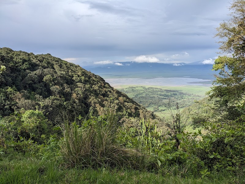 Wonders of the Wild: Ngorongoro Crater - Ngorongoro Crater